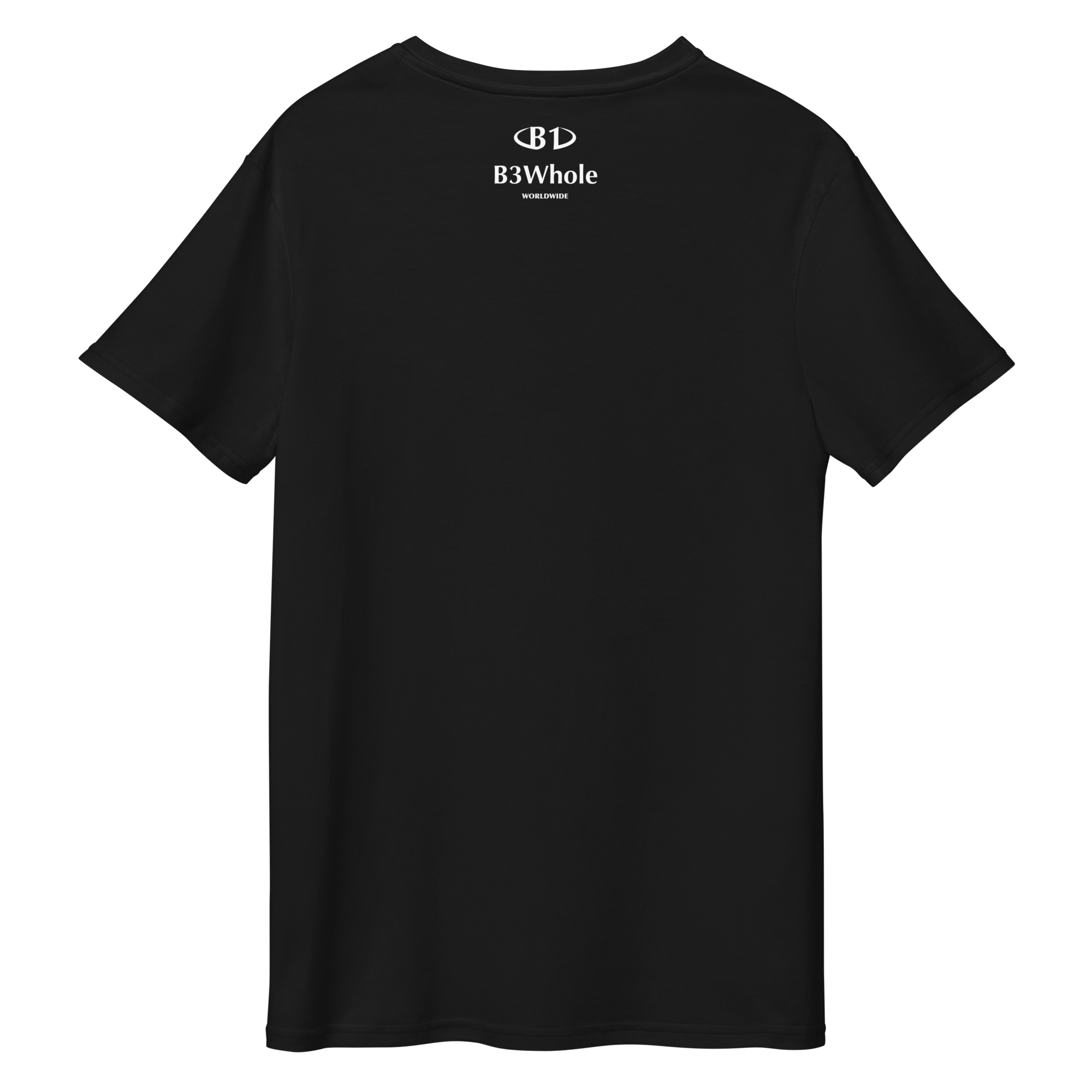(B1) Worldwide 2024 t-shirt